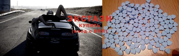 ГАЛЛЮЦИНОГЕННЫЕ ГРИБЫ Аркадак