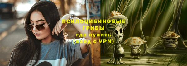 ГАЛЛЮЦИНОГЕННЫЕ ГРИБЫ Аркадак