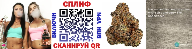 наркотики  Афипский  Шишки марихуана планчик 